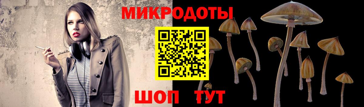 Псилоцибиновые грибы GOLDEN TEACHER  Псилоцибиновые грибы Cubensis  Вход с VPN  Тара 